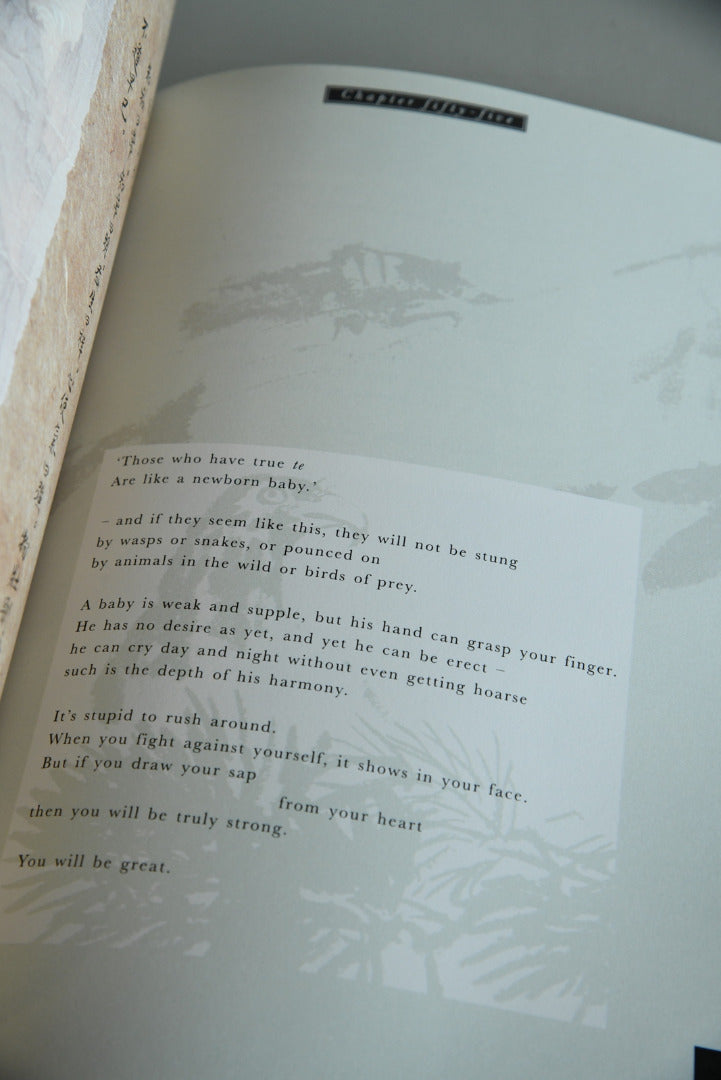 Illustrated Tao Te Ching - The New Translation