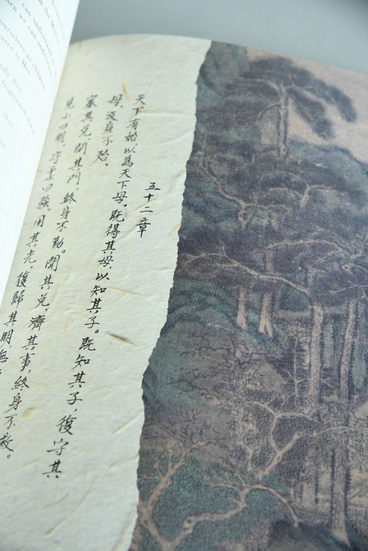 Illustrated Tao Te Ching - The New Translation