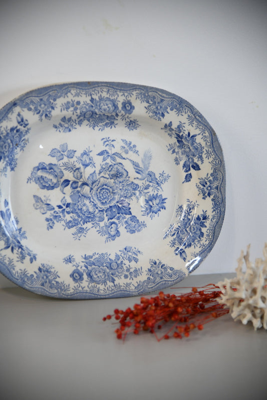 Blue Asiatic Pheasant Meat Plate