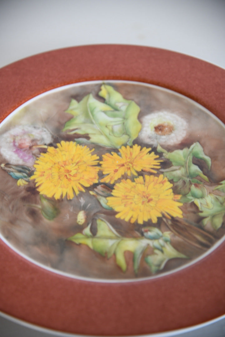 Royal Worcester Hand Painted Porcelain Plate