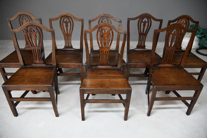 8 Georgian Oak Dining Chairs