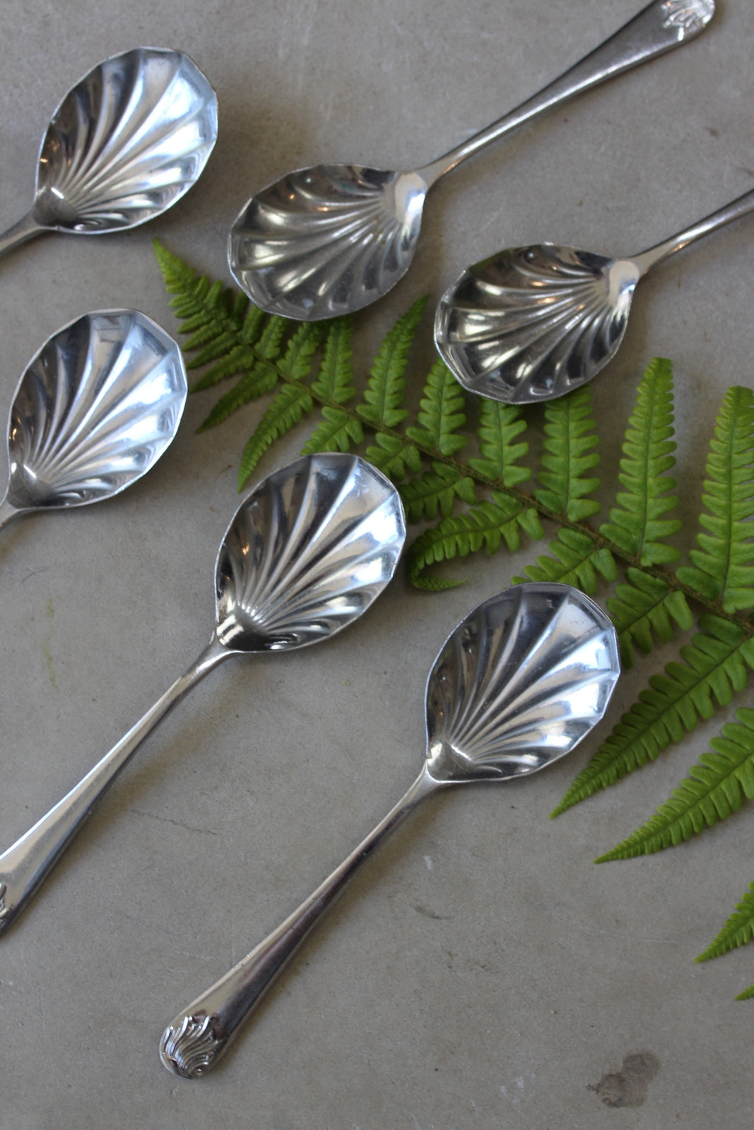 6 Vintage Shell Fruit Spoons - Kernow Furniture