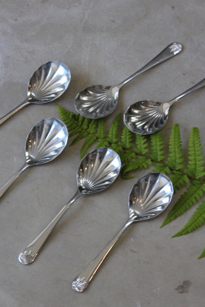 6 Vintage Shell Fruit Spoons - Kernow Furniture