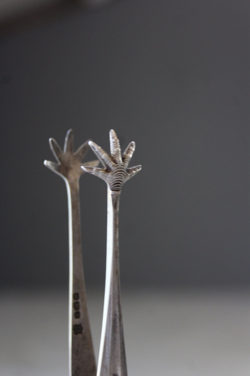 Sterling Silver Sugar Tongs - Kernow Furniture