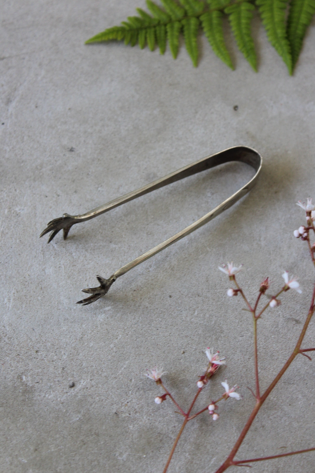 Sterling Silver Sugar Tongs - Kernow Furniture