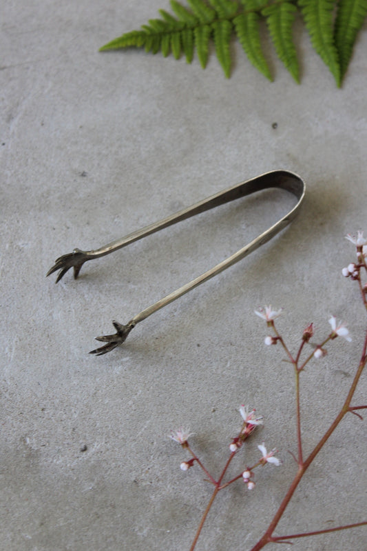 Sterling Silver Sugar Tongs - Kernow Furniture