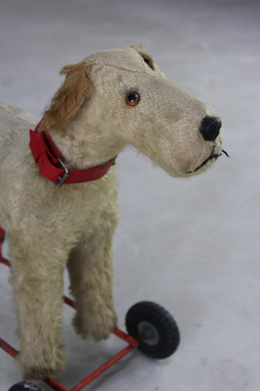 Vintage Pedigree Push Along Dog Toy - Kernow Furniture