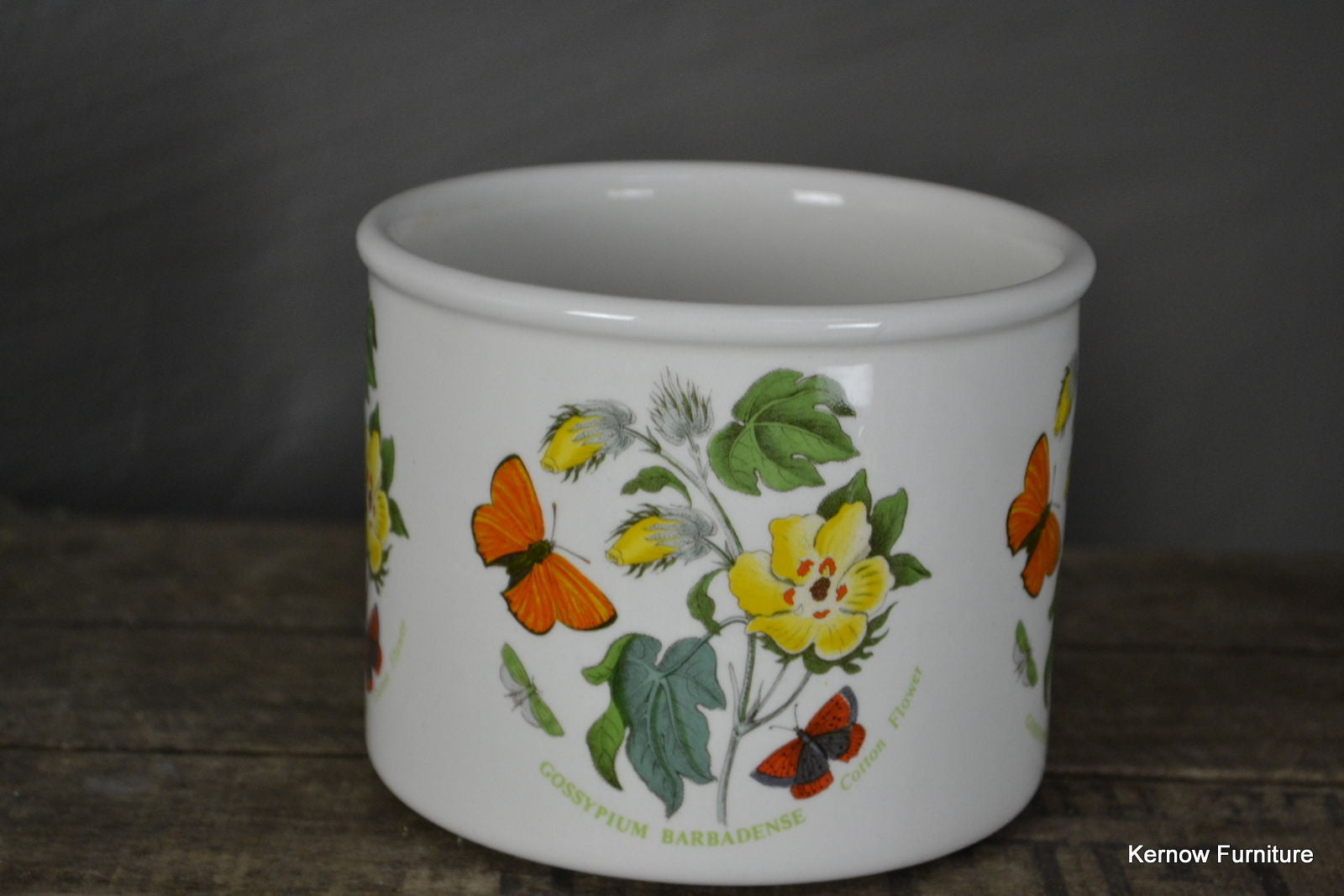 Portmeirion Botanic Garden Flower Pot - Kernow Furniture