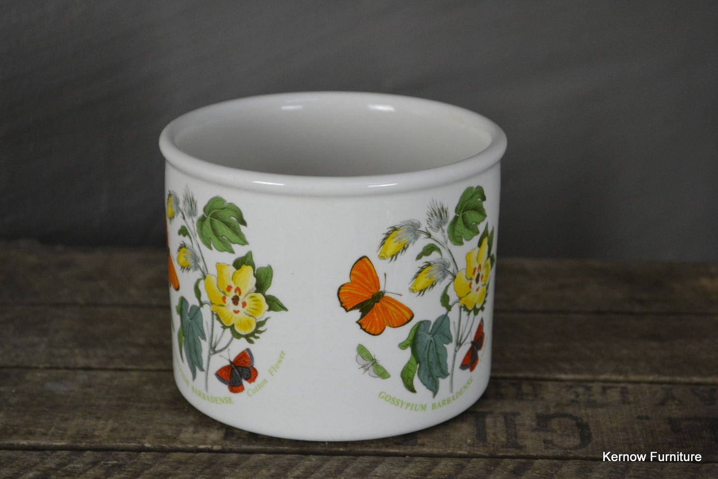 Portmeirion Botanic Garden Flower Pot - Kernow Furniture