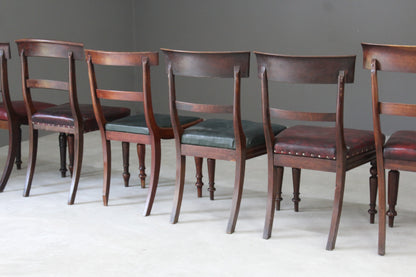 Harlequin Set of 6 19th Century Mahogany Dining Chairs - Kernow Furniture