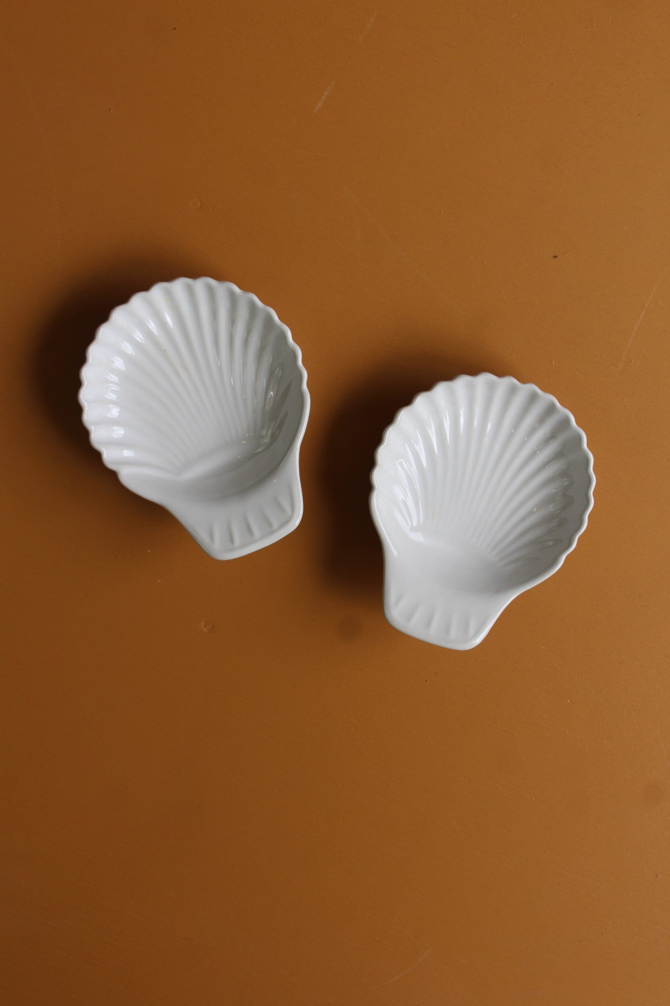 Pair Shell Dishes - Kernow Furniture