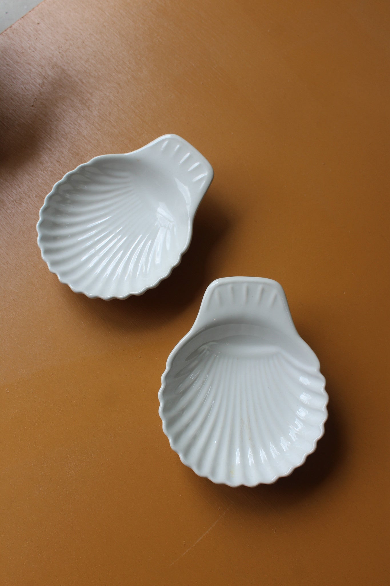 Pair Shell Dishes - Kernow Furniture