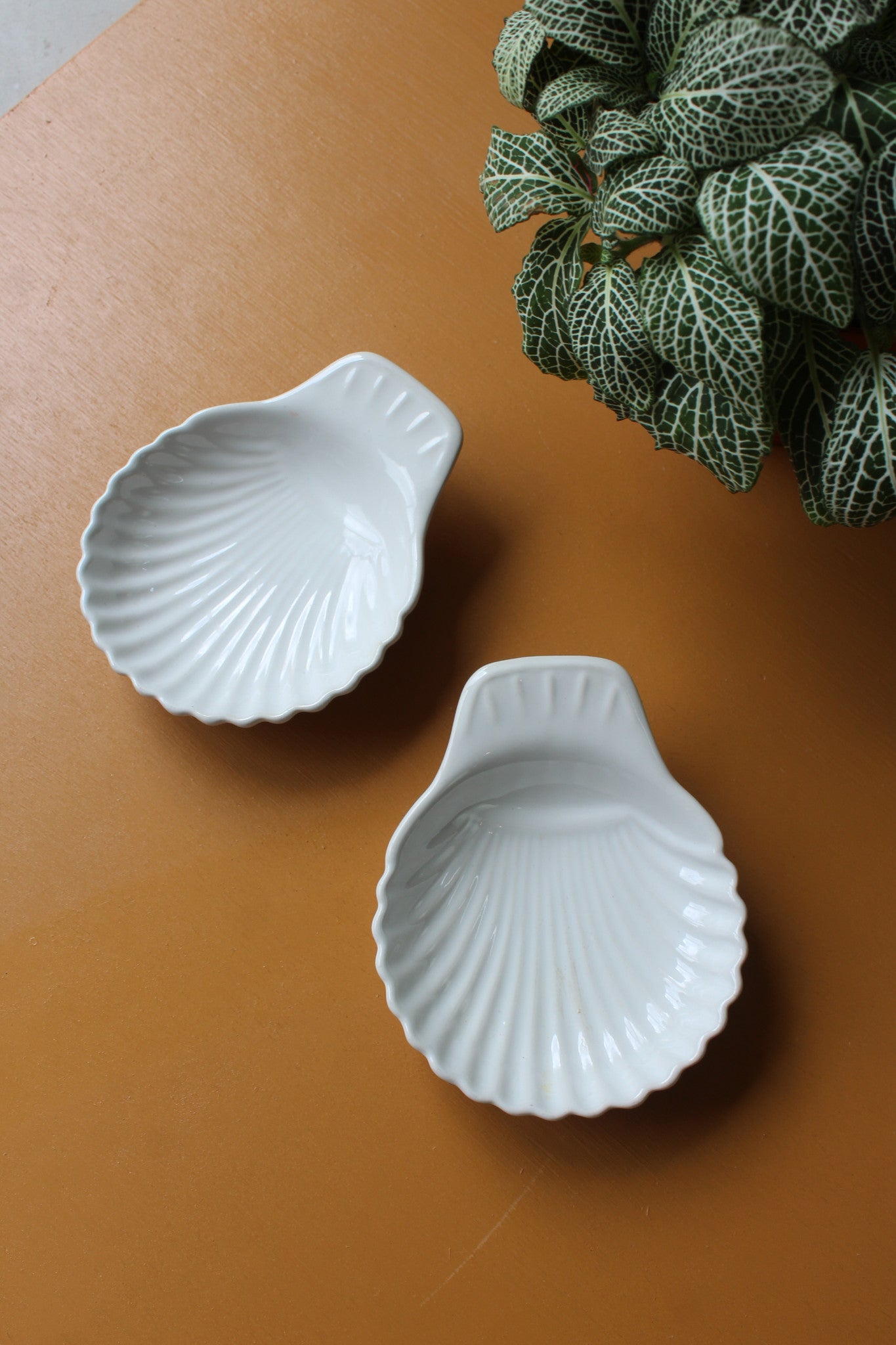 Pair Shell Dishes - Kernow Furniture