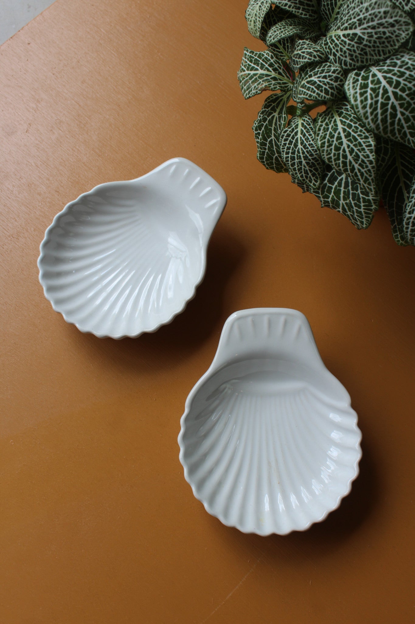 Pair Shell Dishes - Kernow Furniture