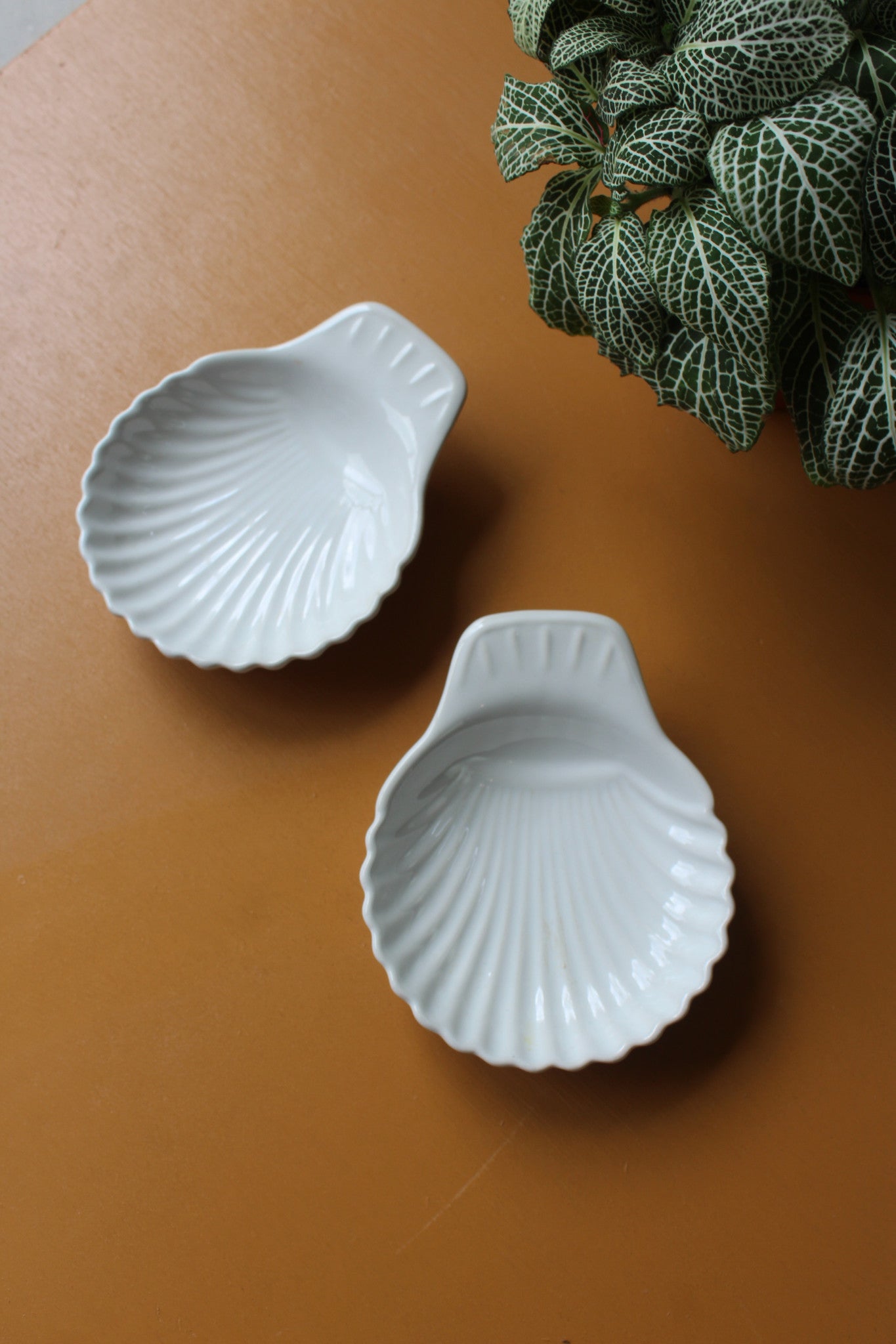 Pair Shell Dishes - Kernow Furniture