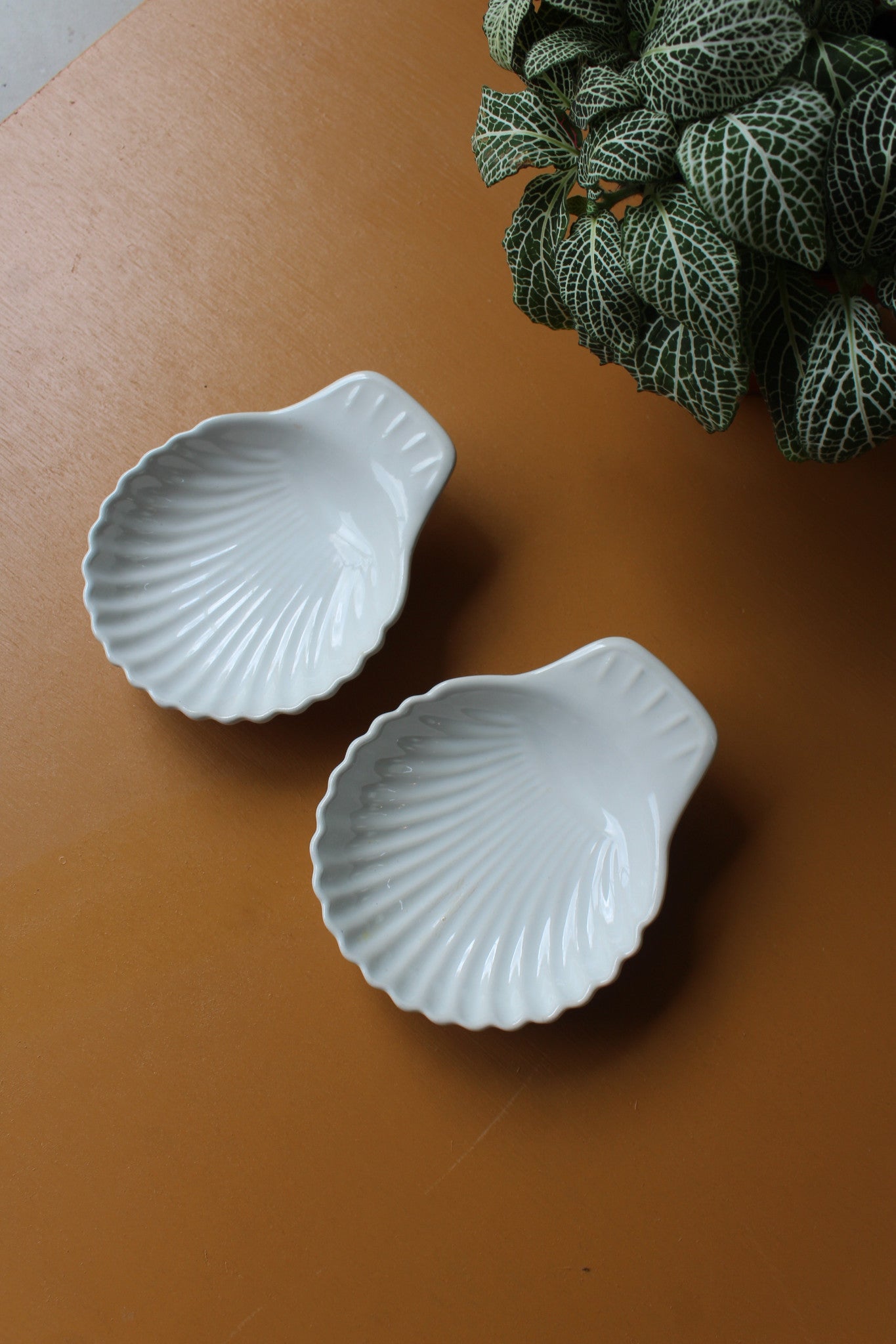 Pair Shell Dishes - Kernow Furniture