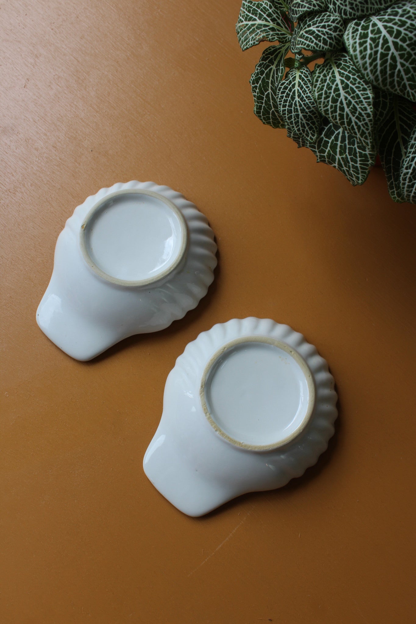 Pair Shell Dishes - Kernow Furniture