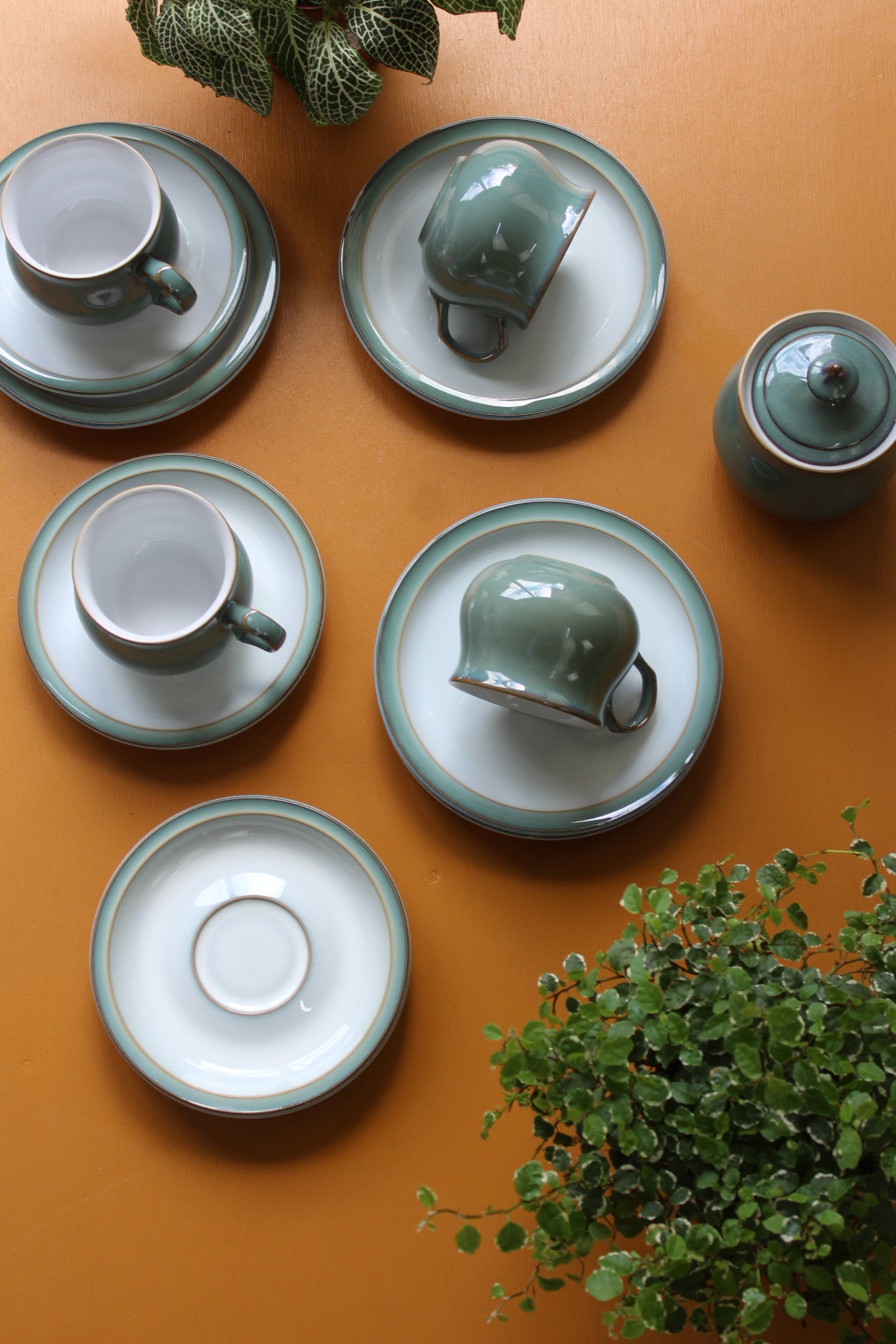 Denby Regency Green Cups Saucers & Plates - Kernow Furniture