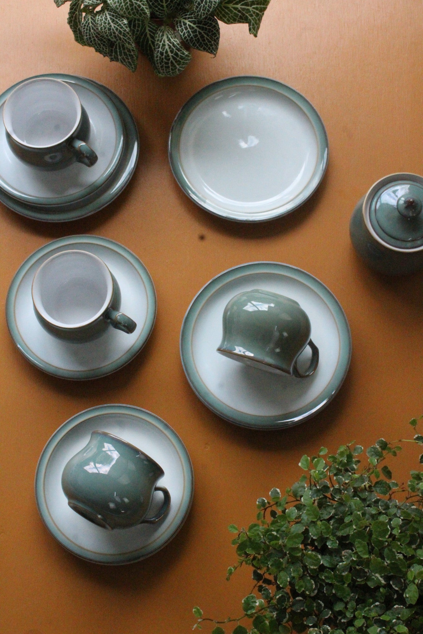 Denby Regency Green Cups Saucers & Plates - Kernow Furniture