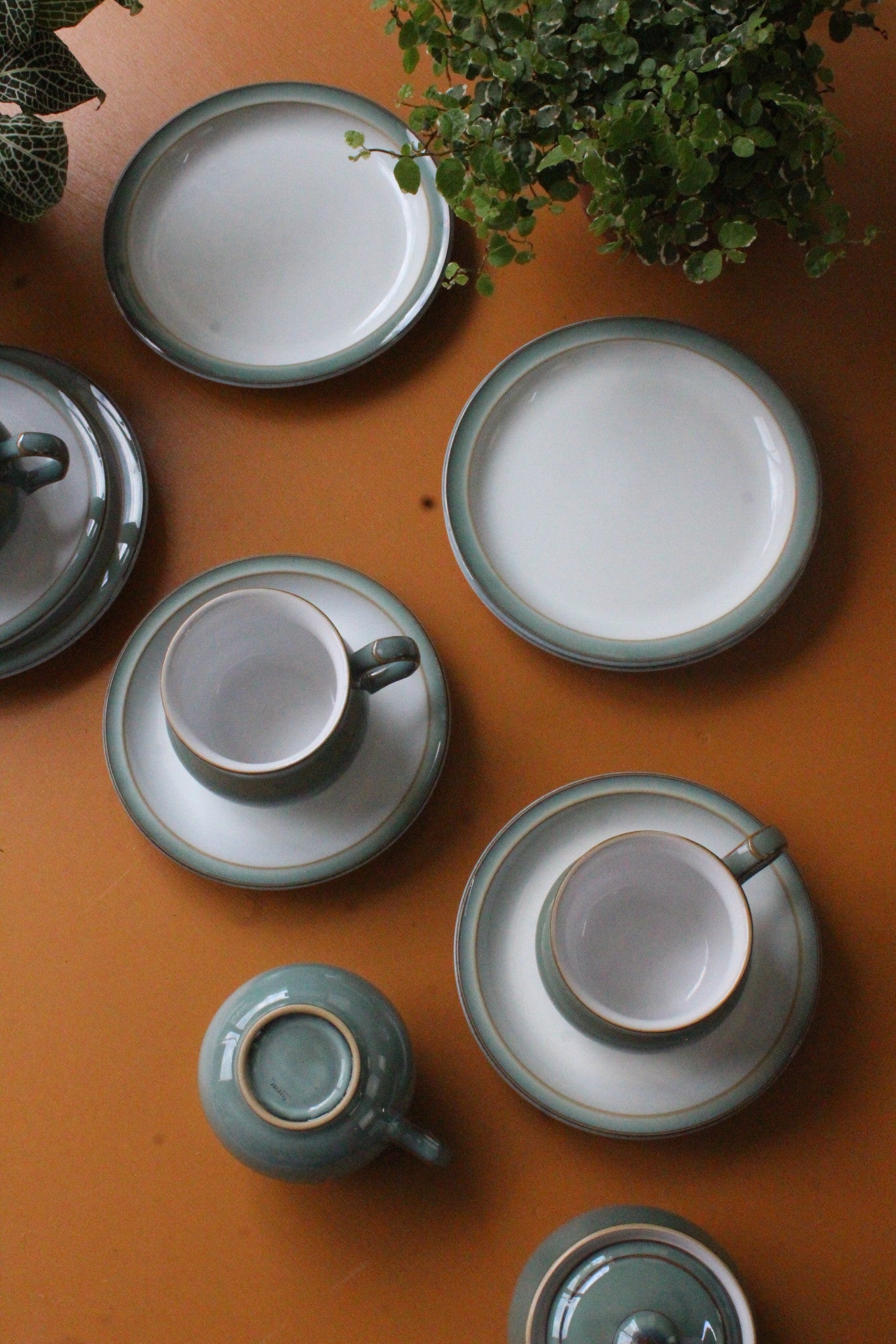 Denby Regency Green Cups Saucers & Plates - Kernow Furniture