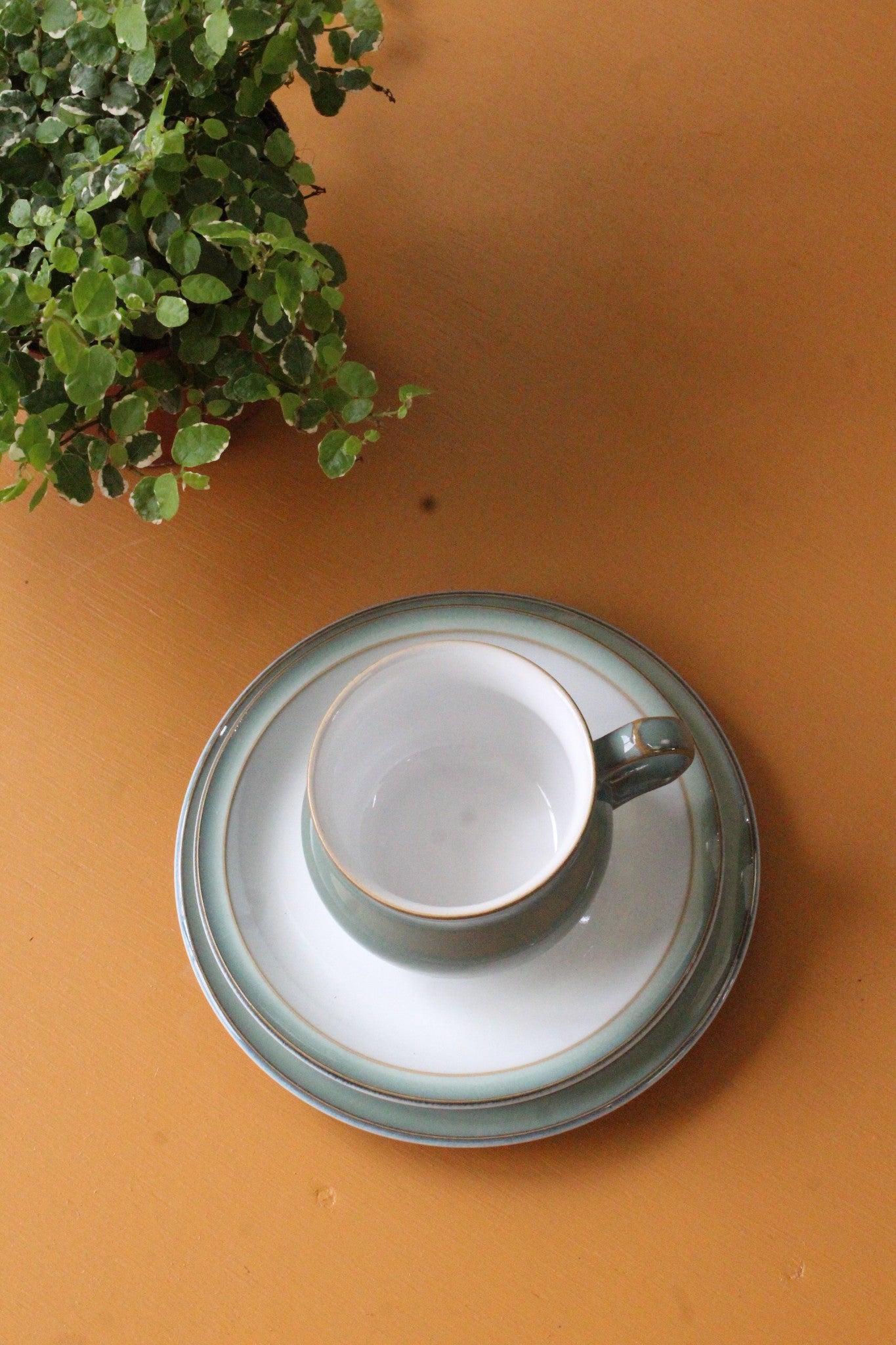 Denby Regency Green Cups Saucers & Plates - Kernow Furniture