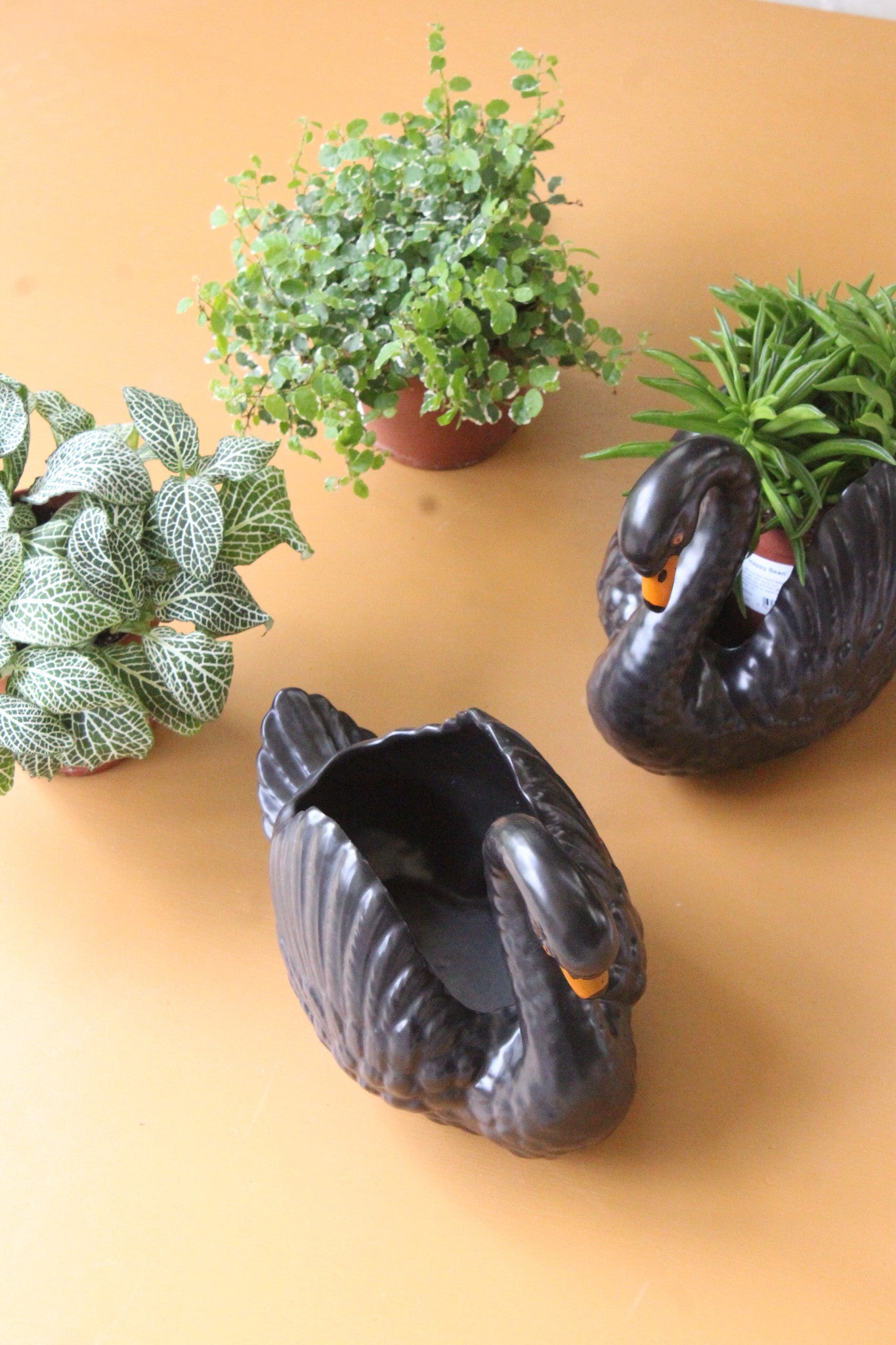 swan planter pots Pair Dartmouth Pottery Swan Plant Pots – Kernow Furniture