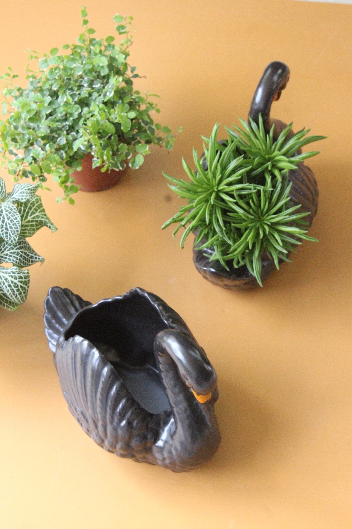 Pair Dartmouth Pottery Swan Plant Pots - Kernow Furniture