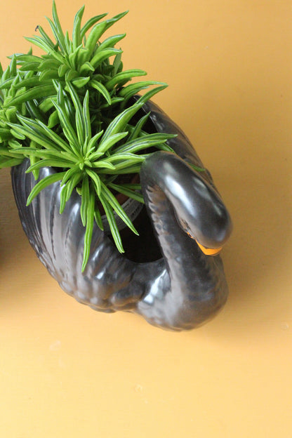 Pair Dartmouth Pottery Swan Plant Pots - Kernow Furniture