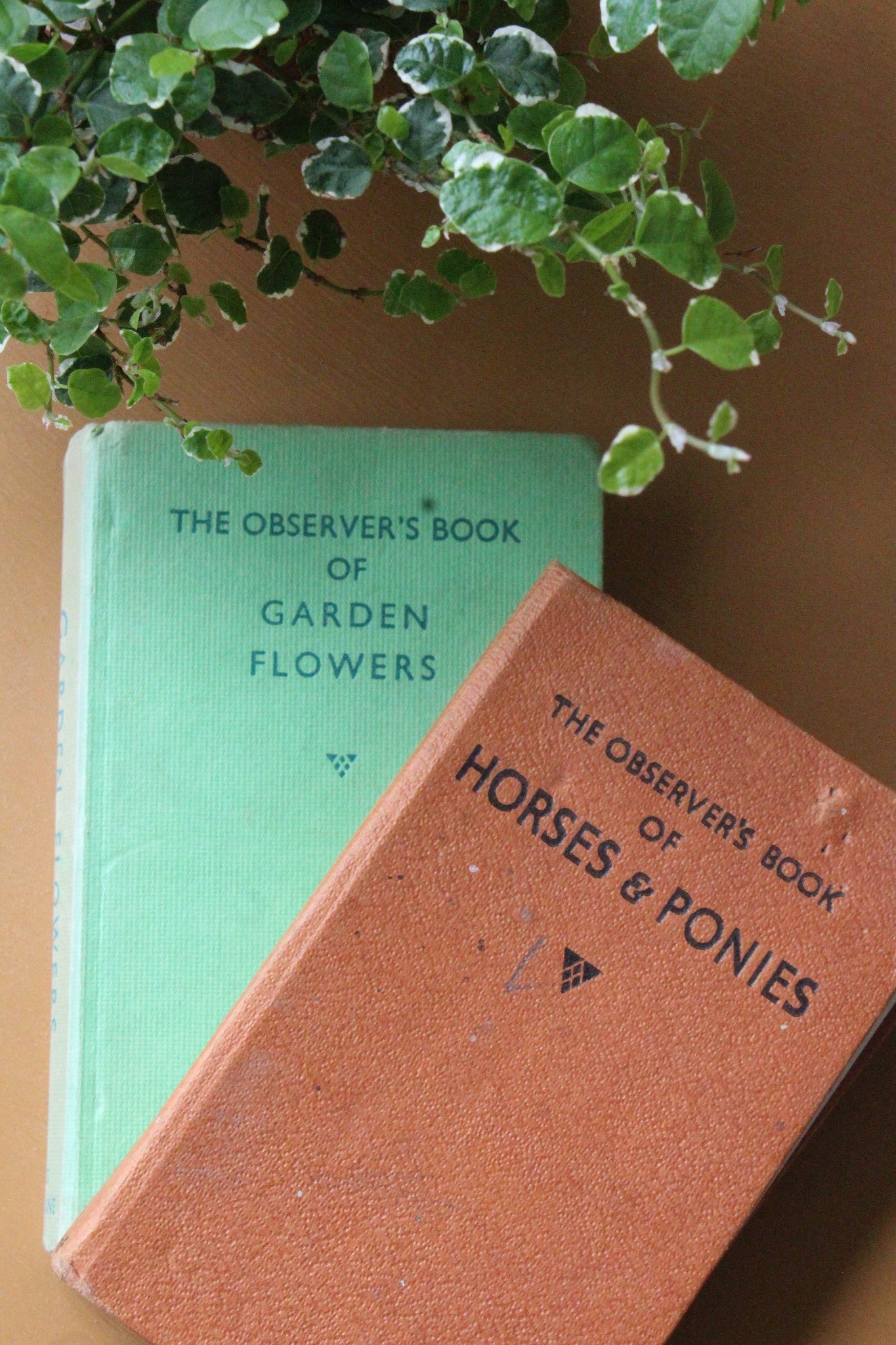 Vintage Observer Books Garden Flowers 25 Horses & Ponies 9 - Kernow Furniture
