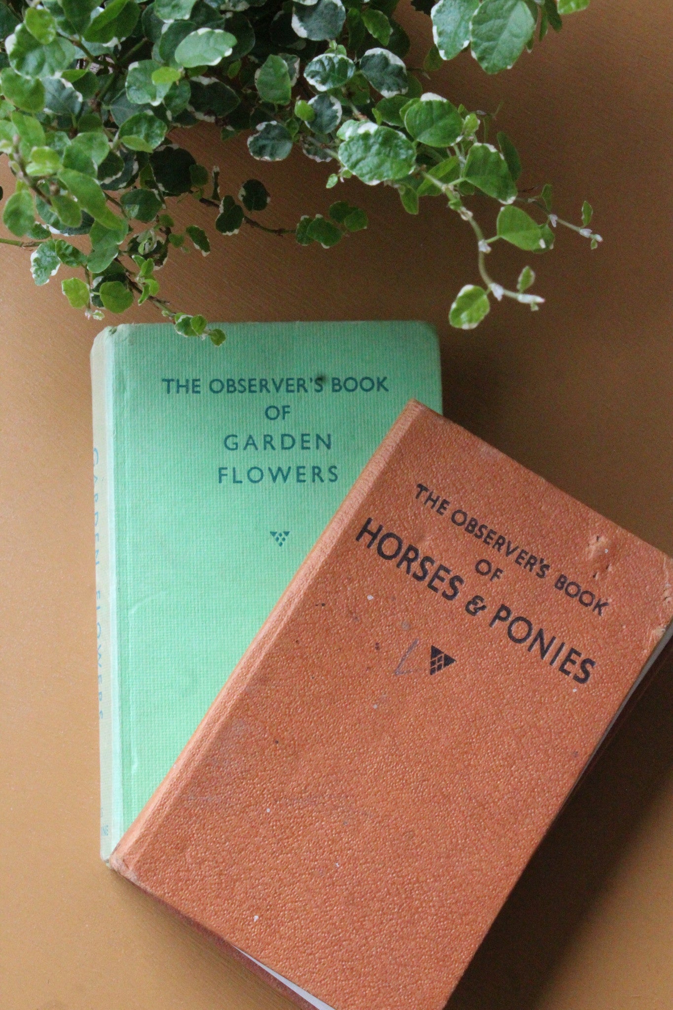 Vintage Observer Books Garden Flowers 25 Horses & Ponies 9 - Kernow Furniture