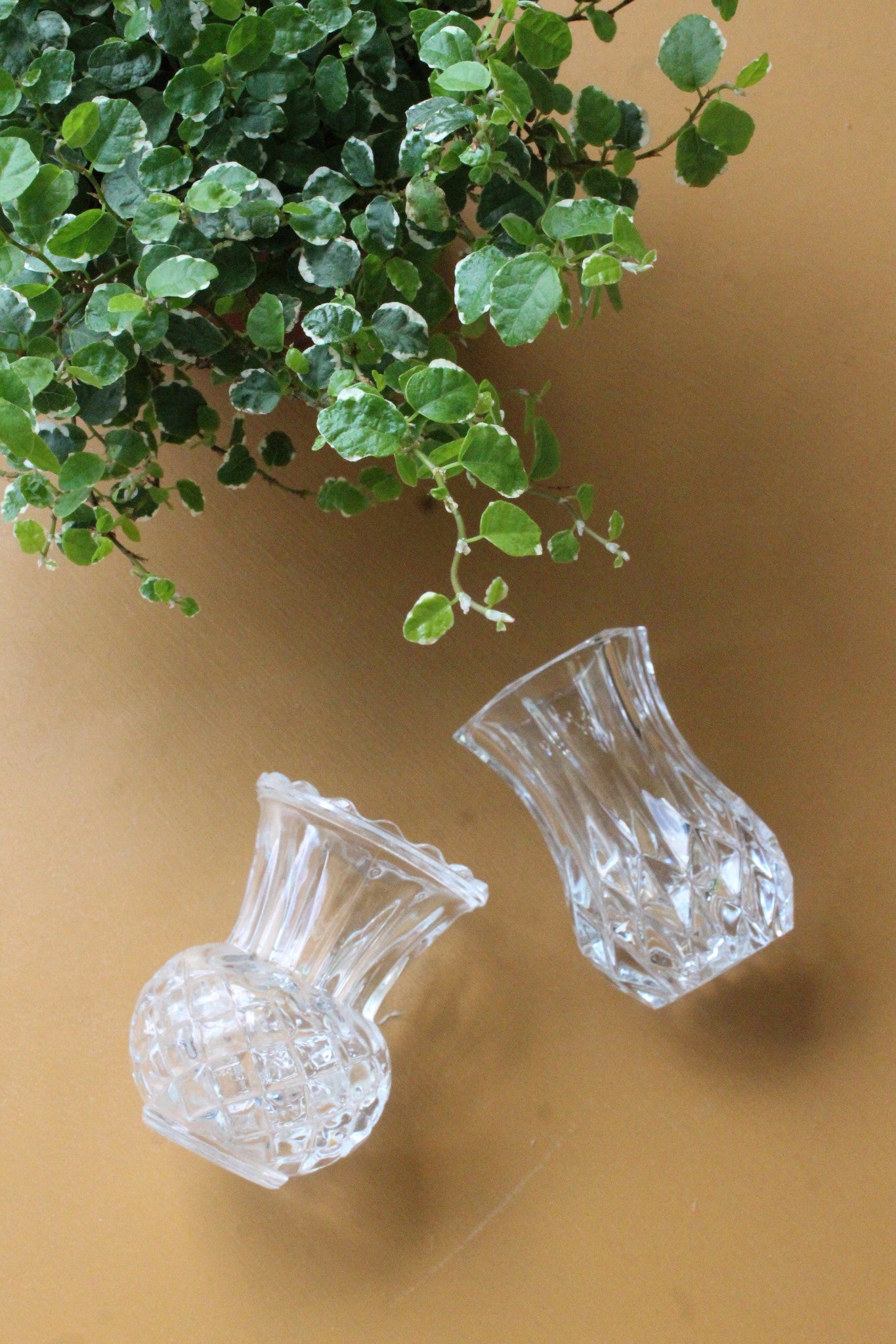 Two Glass Bud Vase - Kernow Furniture