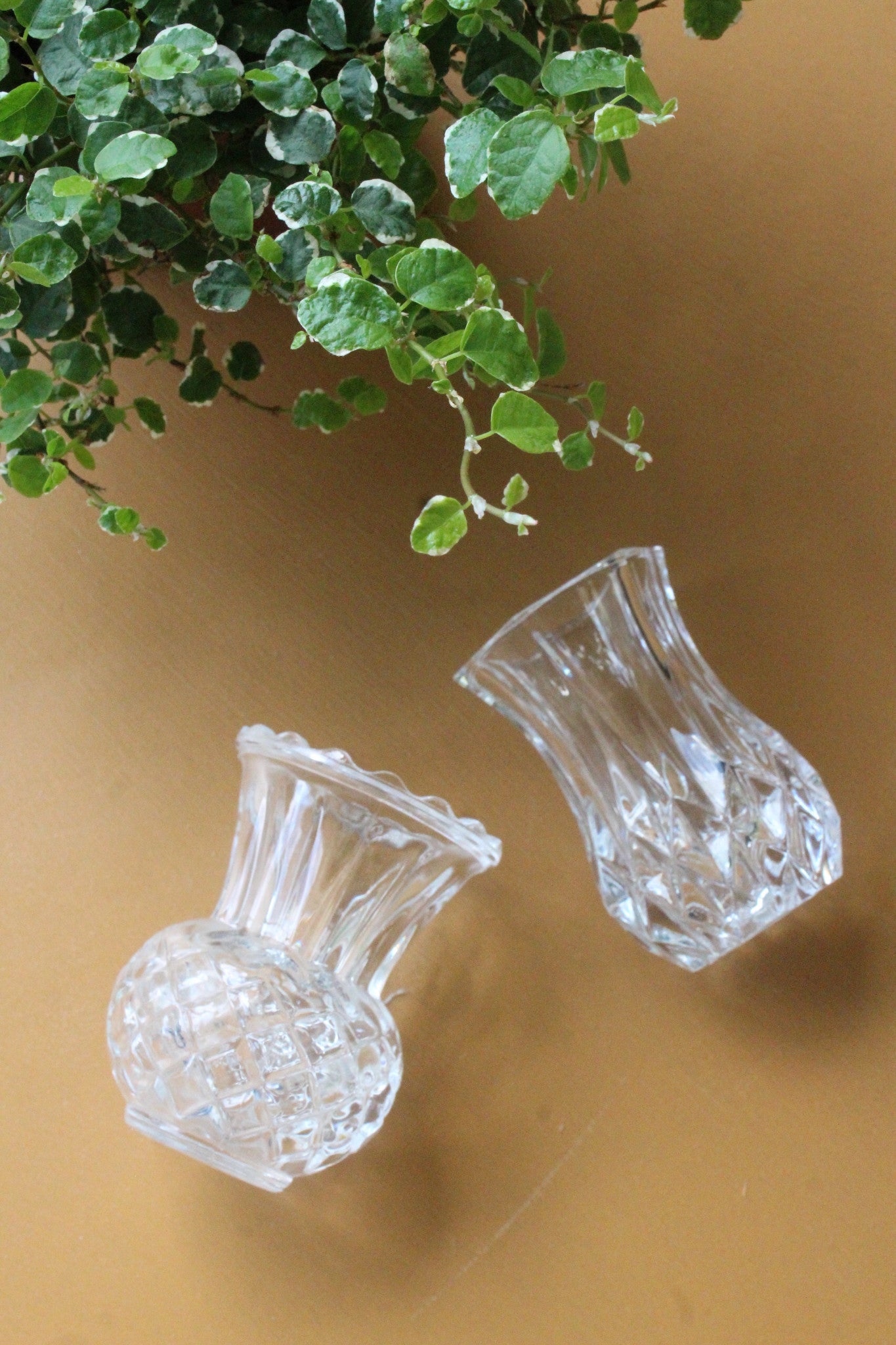 Two Glass Bud Vase - Kernow Furniture