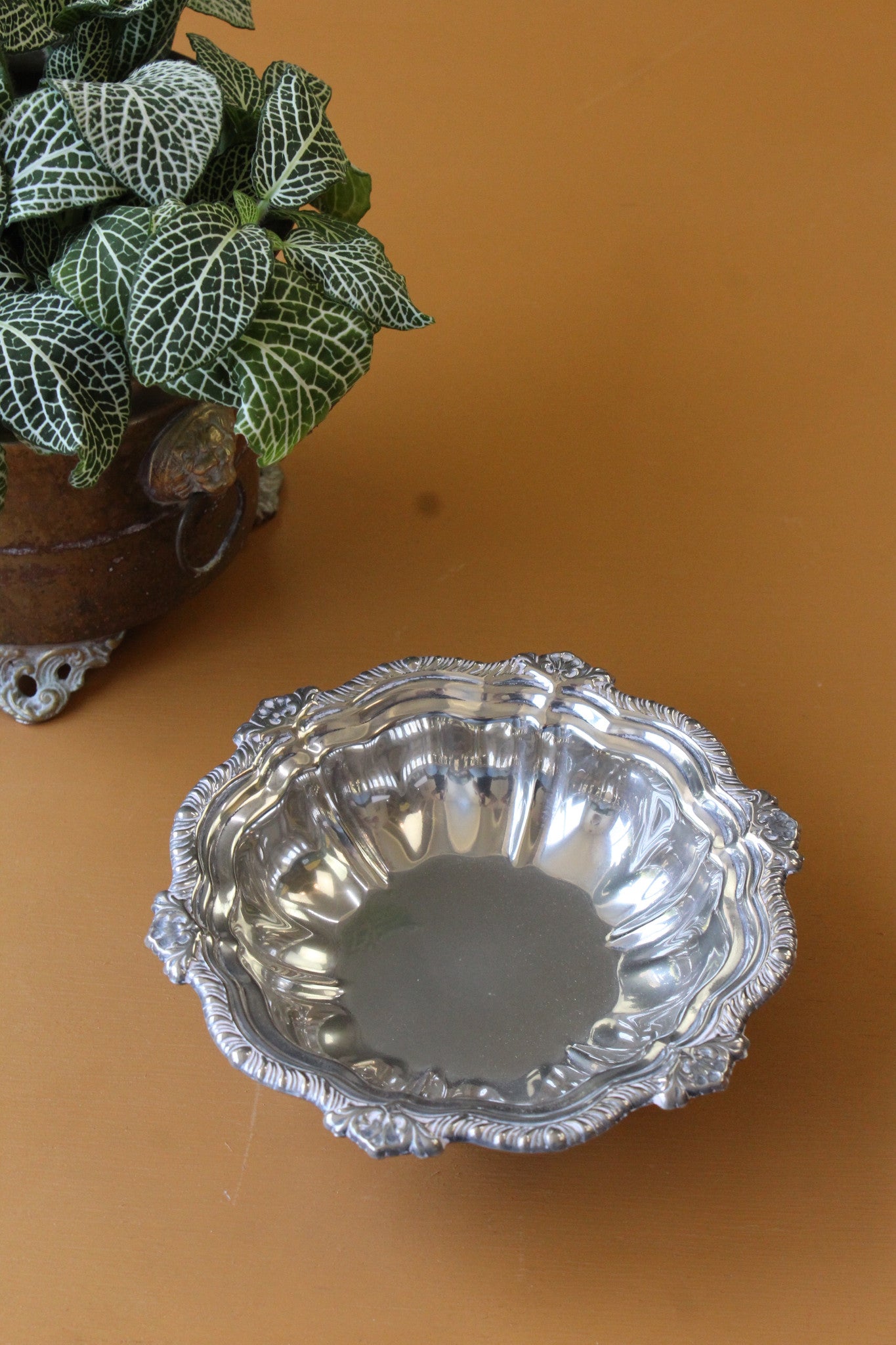 Falstaff Silver Plated Dish - Kernow Furniture