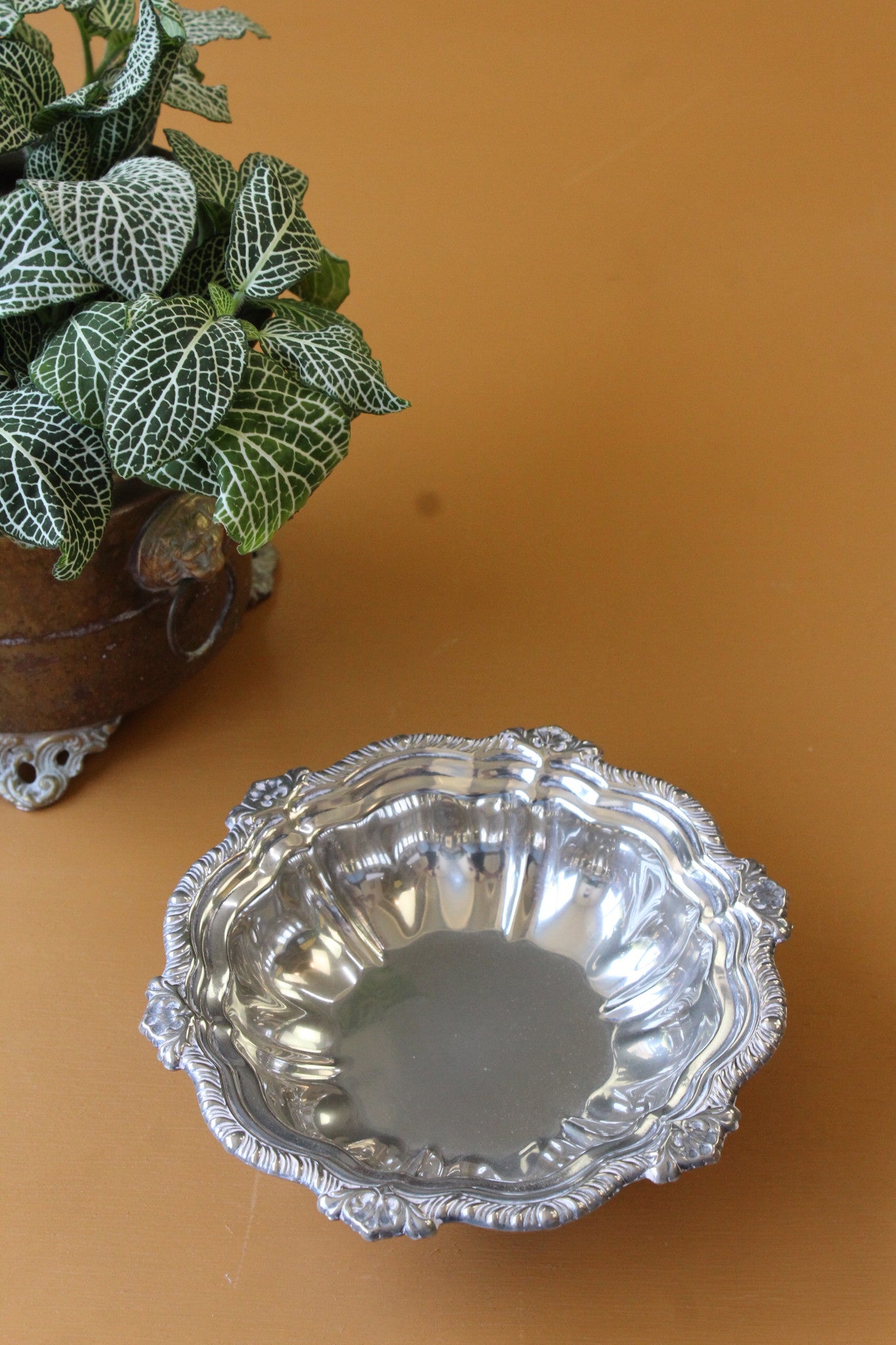 Falstaff Silver Plated Dish Kernow Furniture