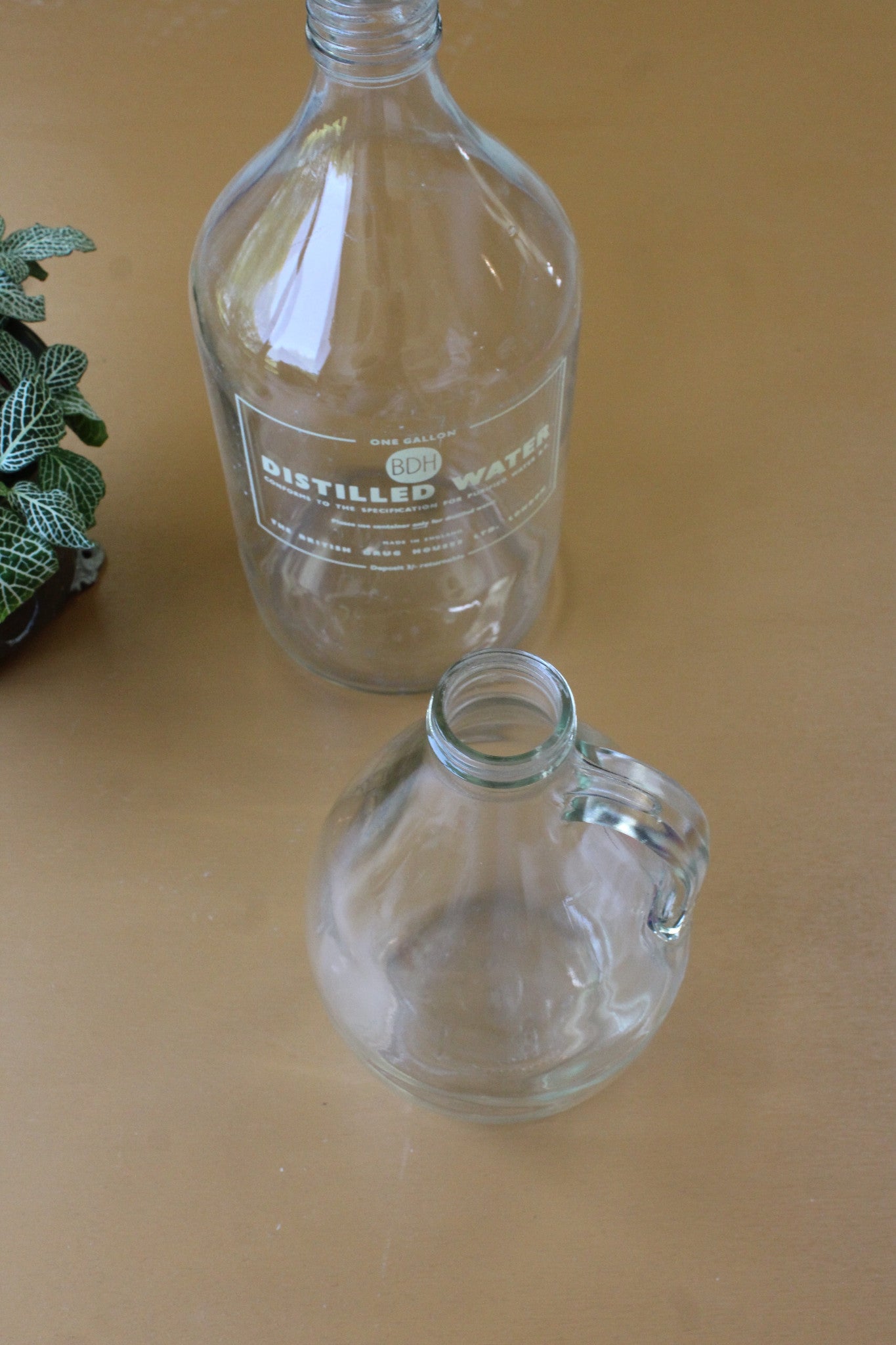 Glass Distilled Water Bottle - Kernow Furniture