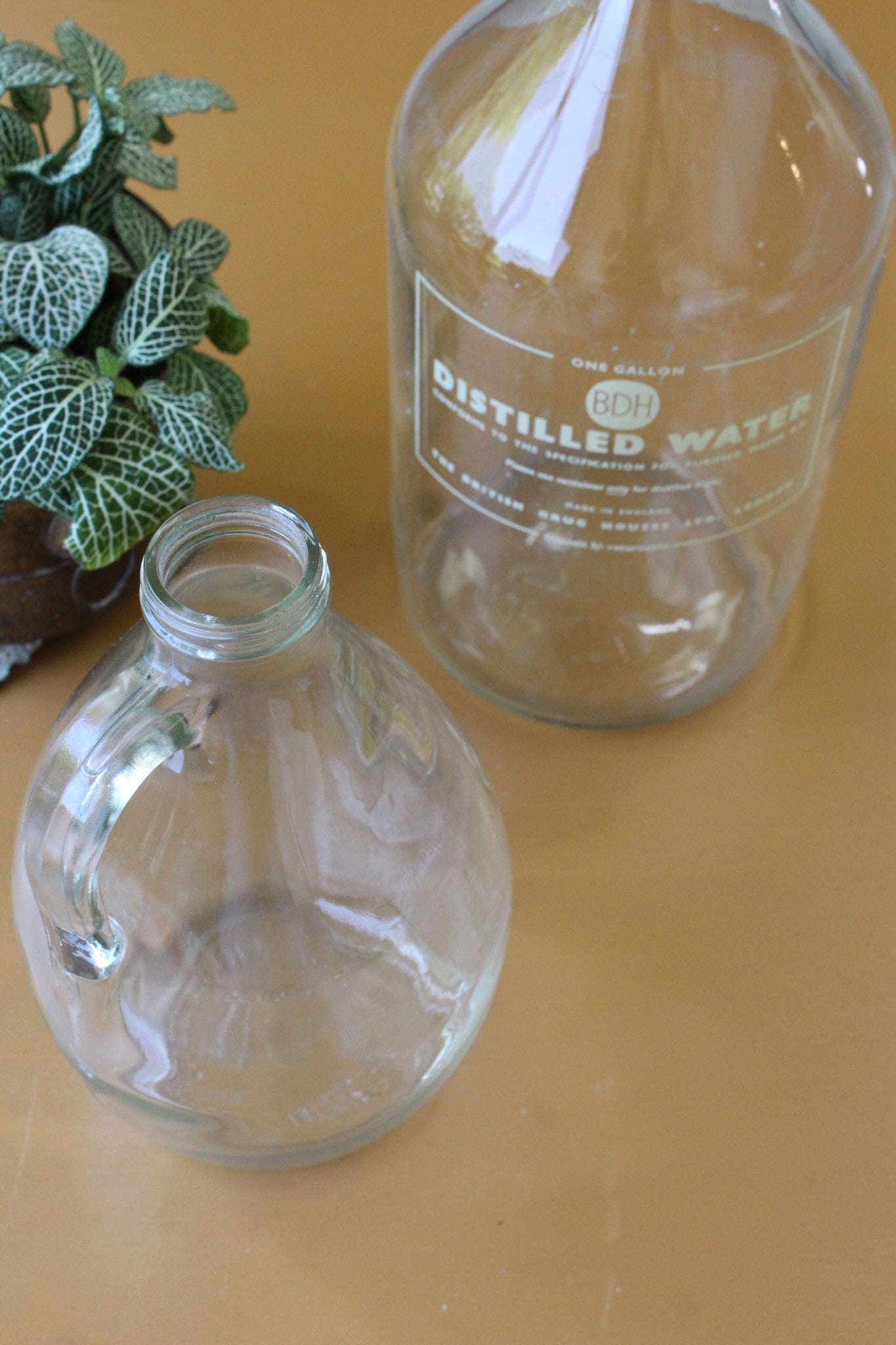 Glass Distilled Water Bottle - Kernow Furniture