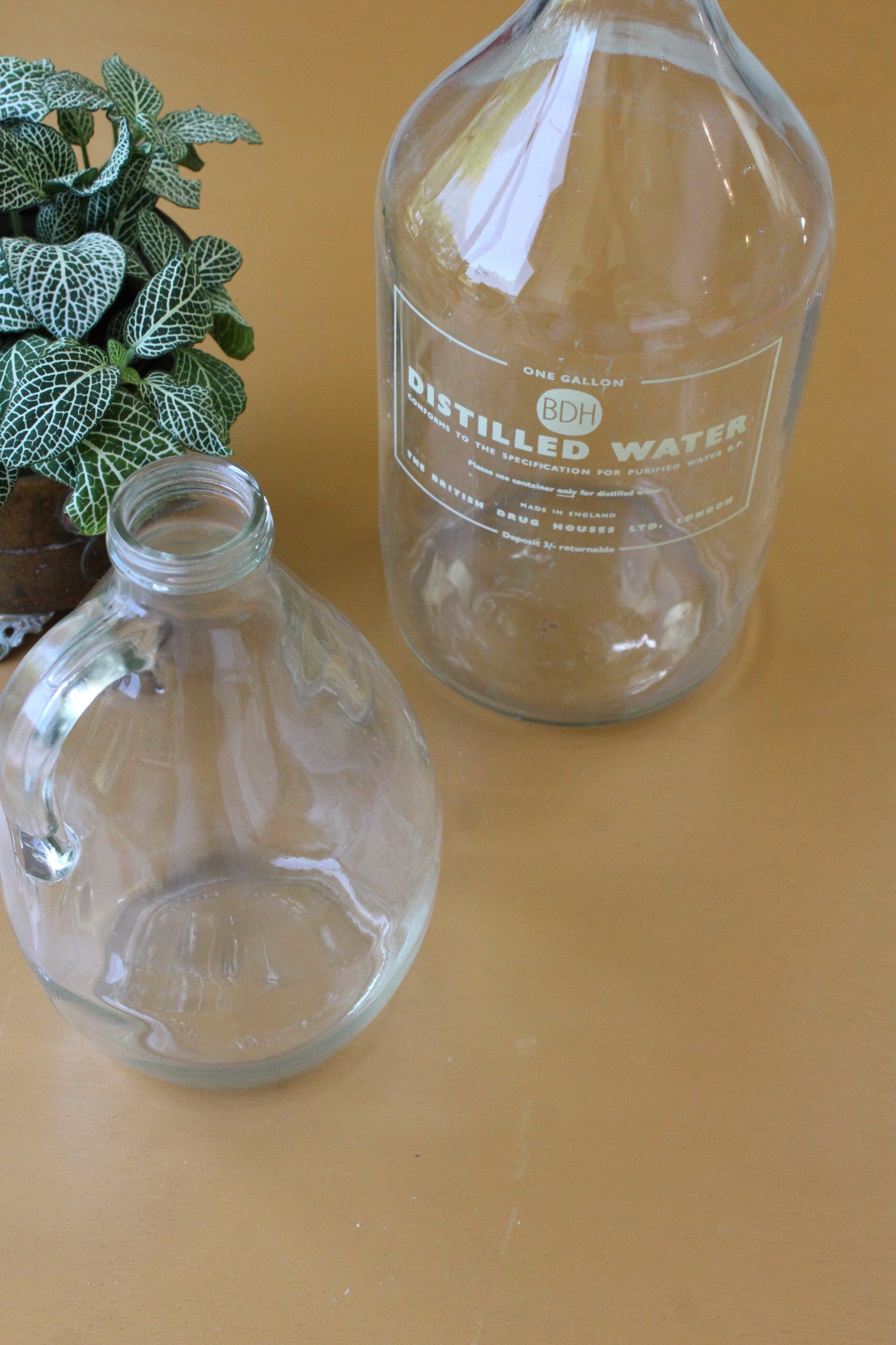 Glass Distilled Water Bottle - Kernow Furniture