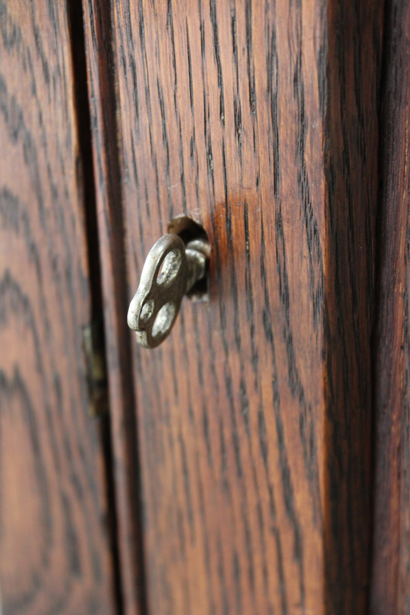 Carved Oak Single Cupboard - Kernow Furniture