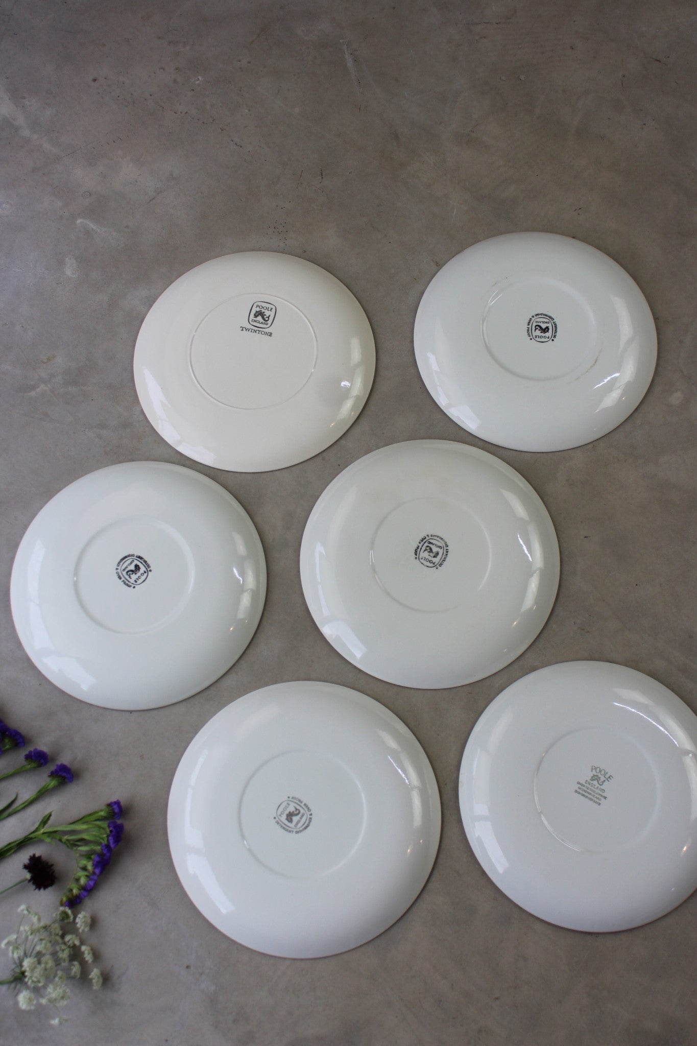 6 Poole Pottery Twintone Dinner Plates - Kernow Furniture