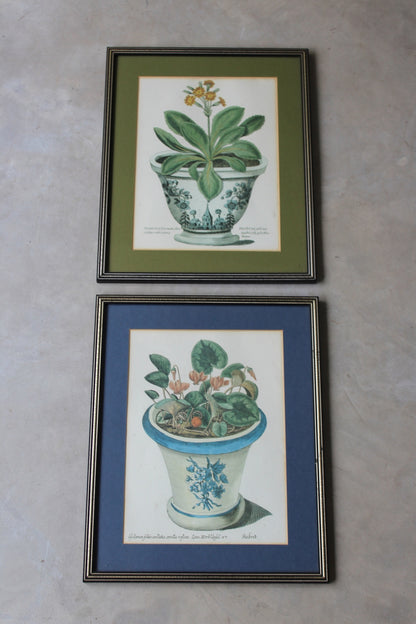 Pair Framed Botanical Prints - Kernow Furniture