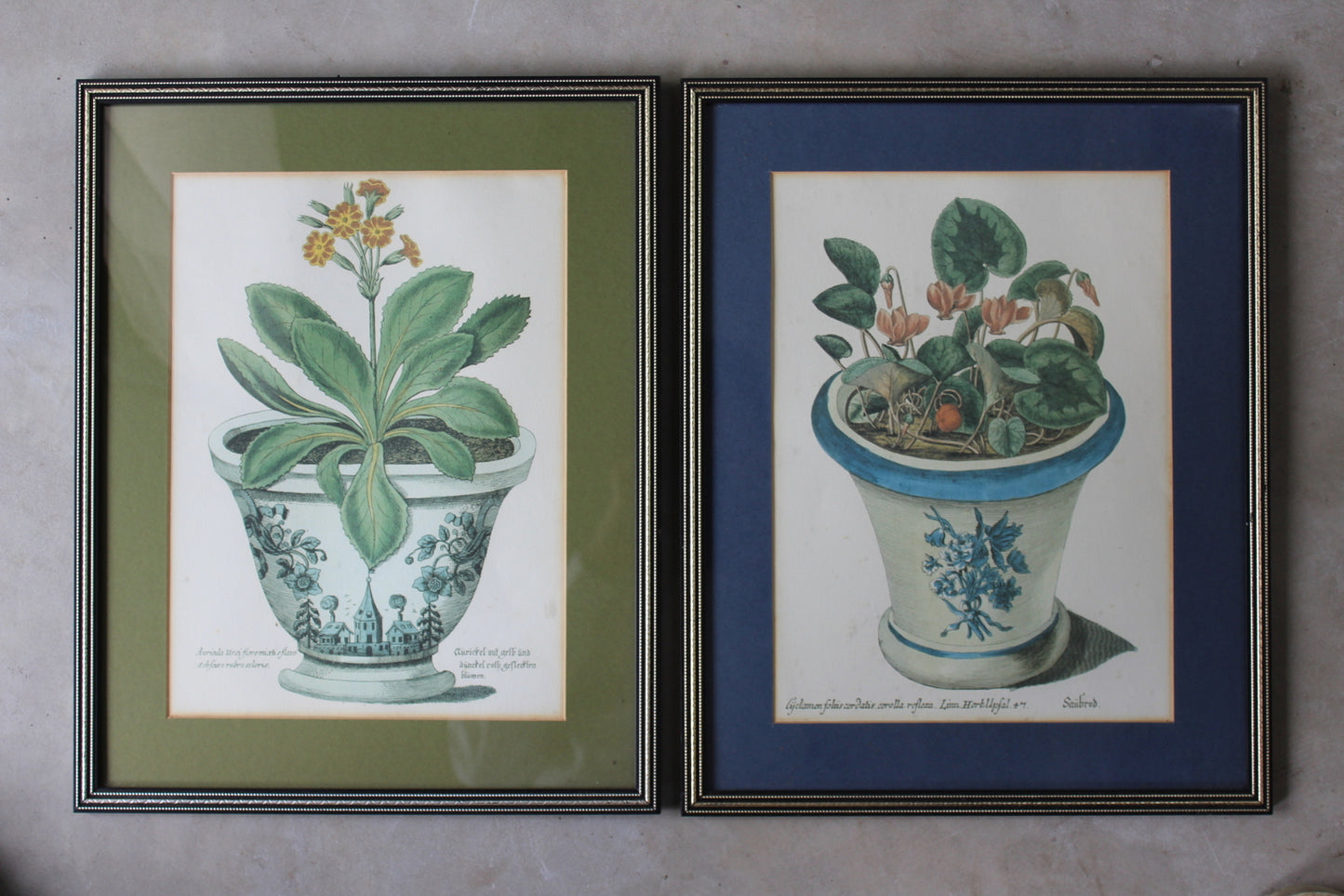 Pair Framed Botanical Prints - Kernow Furniture