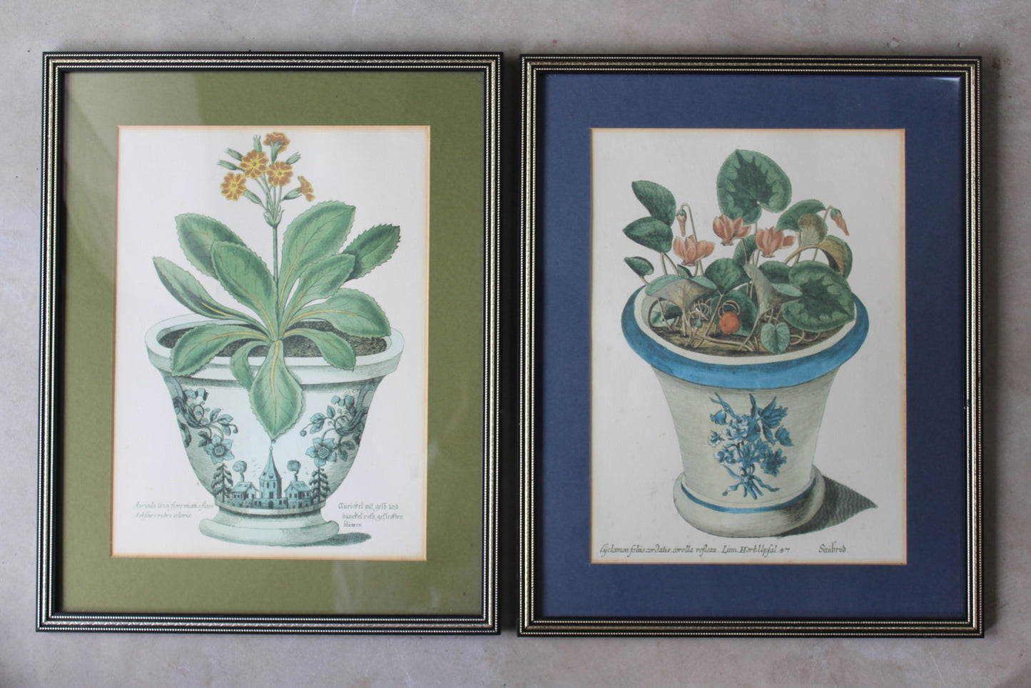 Pair Framed Botanical Prints - Kernow Furniture