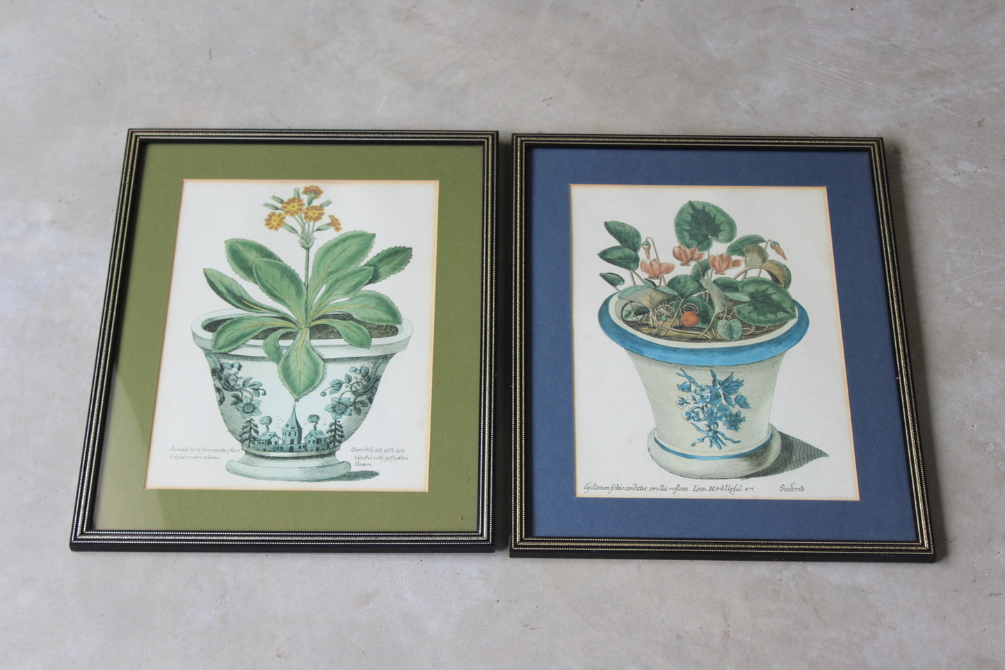 Pair Framed Botanical Prints - Kernow Furniture